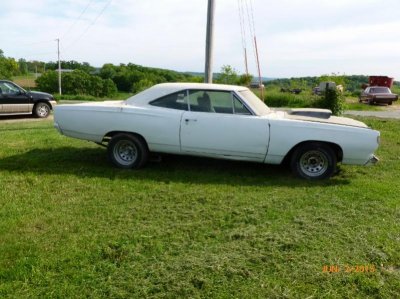 P1000305 (800x600).jpg P1000305 (800x600).jpg