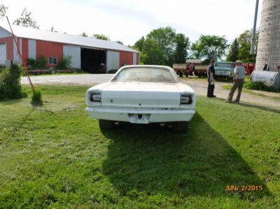 P1000306 (800x600).jpg P1000306 (800x600).jpg