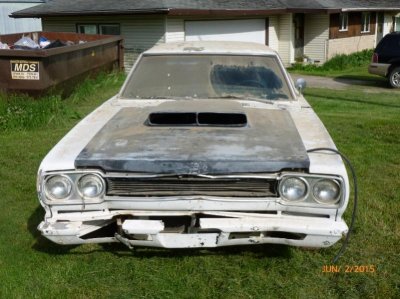 P1000308 (800x600).jpg P1000308 (800x600).jpg