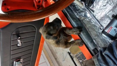 20150622_194452.jpg 20150622_194452.jpg