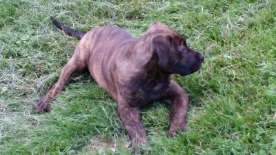 20150621_203617.jpg 20150621_203617.jpg