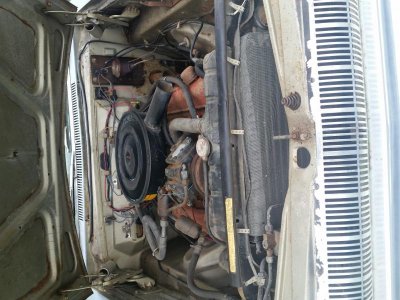 20150628_100207.jpg