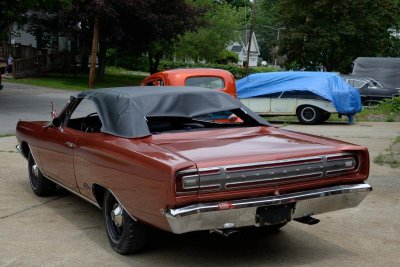 DSC_1679.jpg DSC_1679.jpg