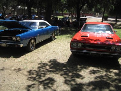 IMG_2495.jpg IMG_2495.jpg