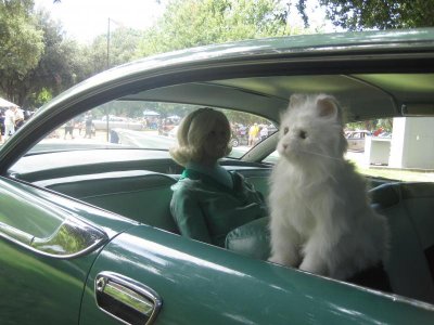 IMG_2563.jpg IMG_2563.jpg