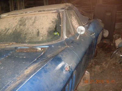 corvette 010.jpg corvette 010.jpg