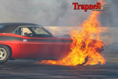 11709686_916032468442813_979945493291688595_n.jpg 11709686_916032468442813_979945493291688595_n.jpg