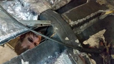 20150628_222559.jpg 20150628_222559.jpg