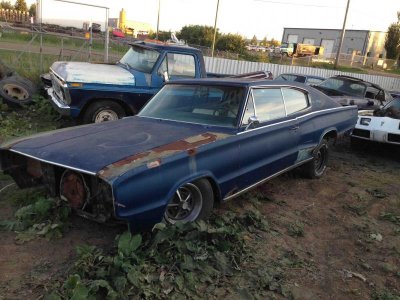 IMG_1675 reduced.jpg IMG_1675 reduced.jpg