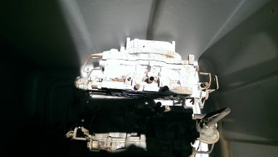 IMAG0264.jpg
