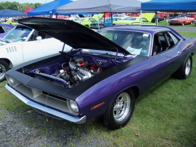 Carlisle Cuda.jpg