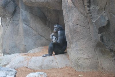 DSC_1437_769.jpg
