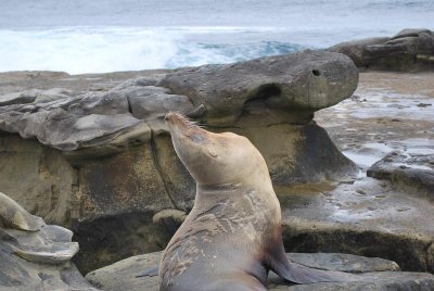 DSC_1772_1104.jpg