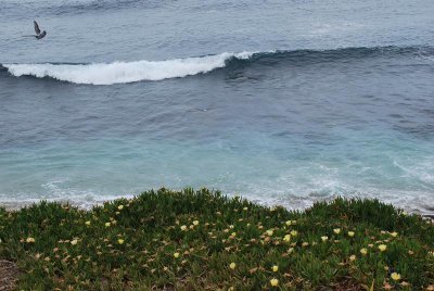DSC_1847_1179.jpg
