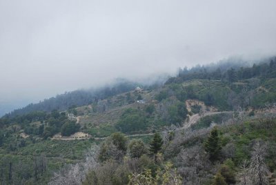 DSC_1920_1252.jpg