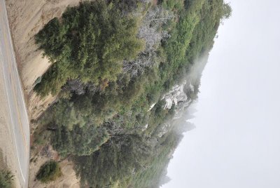 DSC_1923_1255.jpg