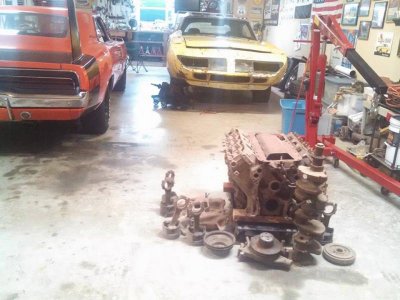 11143528_10204798262858036_8526078688174678992_n.jpg 11143528_10204798262858036_8526078688174678992_n.jpg