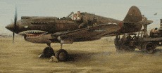 shark-sighting-3.gif