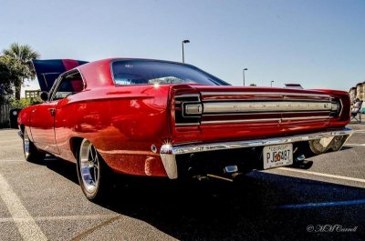 road runner at the beach 2.jpg