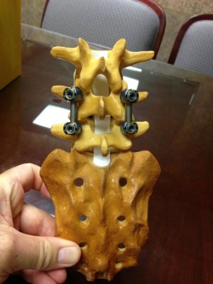 IMG_3118.jpg IMG_3118.jpg