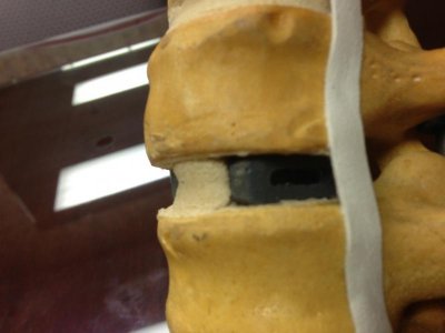 IMG_3819.jpg IMG_3819.jpg