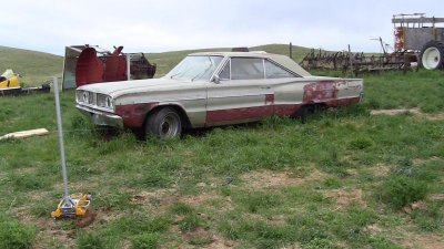 IMG_1142.jpg