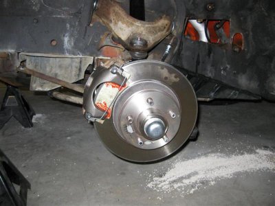 IMG_0481 (Medium).jpg IMG_0481 (Medium).jpg