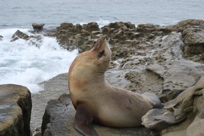 DSC_1803_1135.jpg