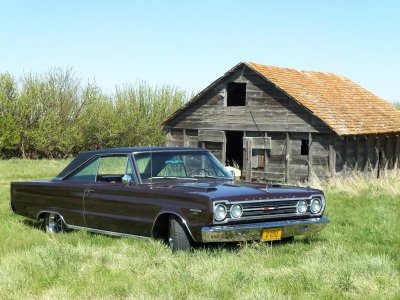 MYRA'S CAMERA 029 - Copy.jpg