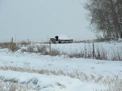 DSCF0009.jpg