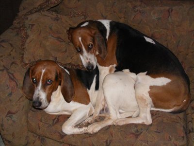 DSCF6778.jpg