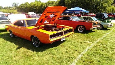 unnamed12.jpg unnamed12.jpg