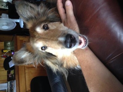 IMG_1022.jpg IMG_1022.jpg