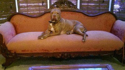 IMAG1026_BURST007.jpg IMAG1026_BURST007.jpg