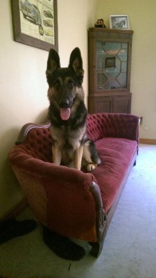 IMAG0793_BURST002.jpg IMAG0793_BURST002.jpg