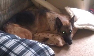 IMAG1096-20140520-101447.jpg IMAG1096-20140520-101447.jpg