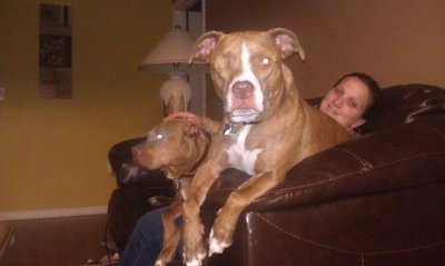 IMAG0245-20140520-101519.jpg IMAG0245-20140520-101519.jpg