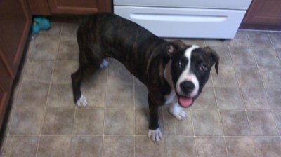 IMAG0866-20140520-101526.jpg IMAG0866-20140520-101526.jpg