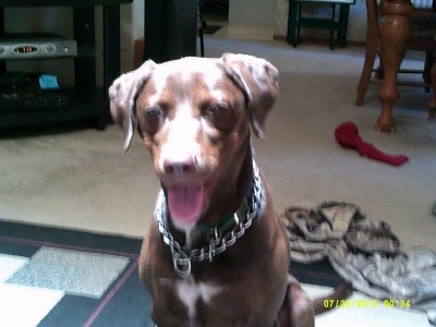 Bubba 7-25-2015 #1.jpg