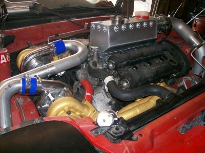 car **** and nibbler puppy 053.jpg car **** and nibbler puppy 053.jpg