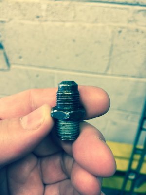 IMG_4202.JPG IMG_4202.JPG