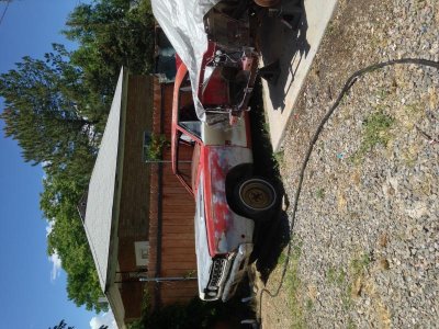 IMG_1954.jpg IMG_1954.jpg