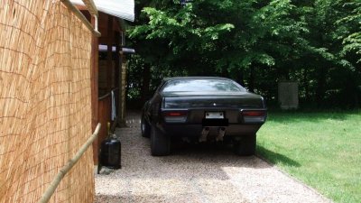 Roadrunner - Apr 2015 - 1.jpg Roadrunner - Apr 2015 - 1.jpg