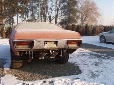 Moloch January 2010 010 d.jpg Moloch January 2010 010 d.jpg