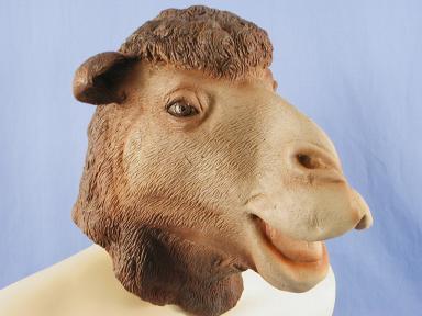 camel_mask_rubber.jpg