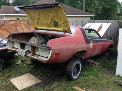 IMG_0343.JPG IMG_0343.JPG