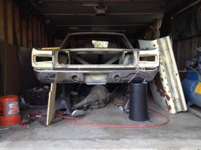 IMG_1183.jpg IMG_1183.jpg