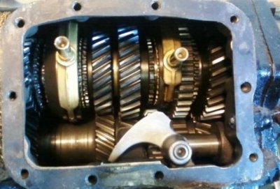 11222948_1190917134268554_3624068021910633357_ne (2).jpg