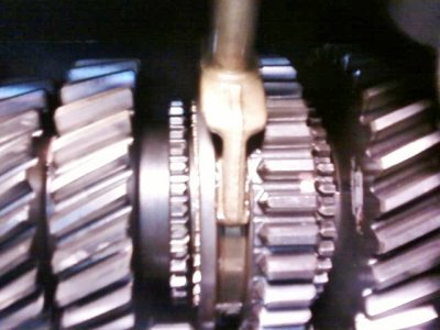 11949479_1190917220935212_4634199775948202056_n (2).jpg