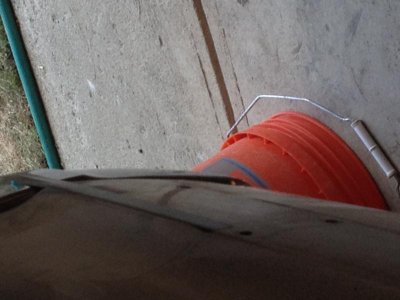 IMG_1229.jpg IMG_1229.jpg